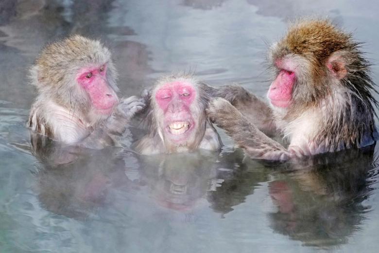 Idag i bilder, 14 januari 2022